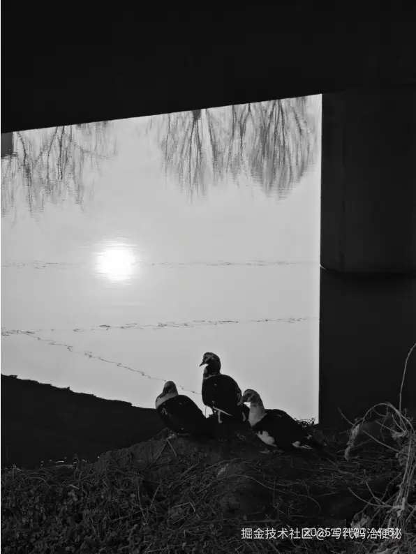 写代码治便秘于2025-05-09 14:43发布的图片