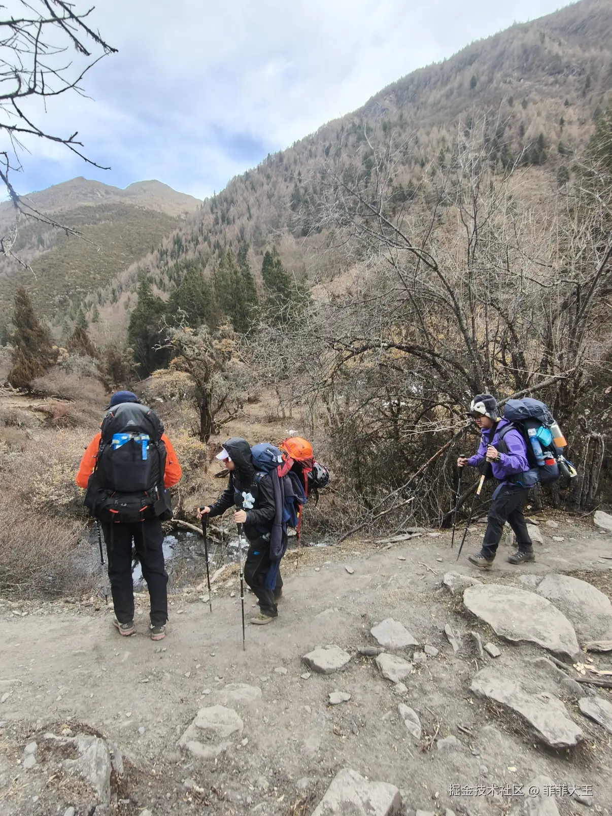 菲菲大王于2025-12-15 10:55发布的图片