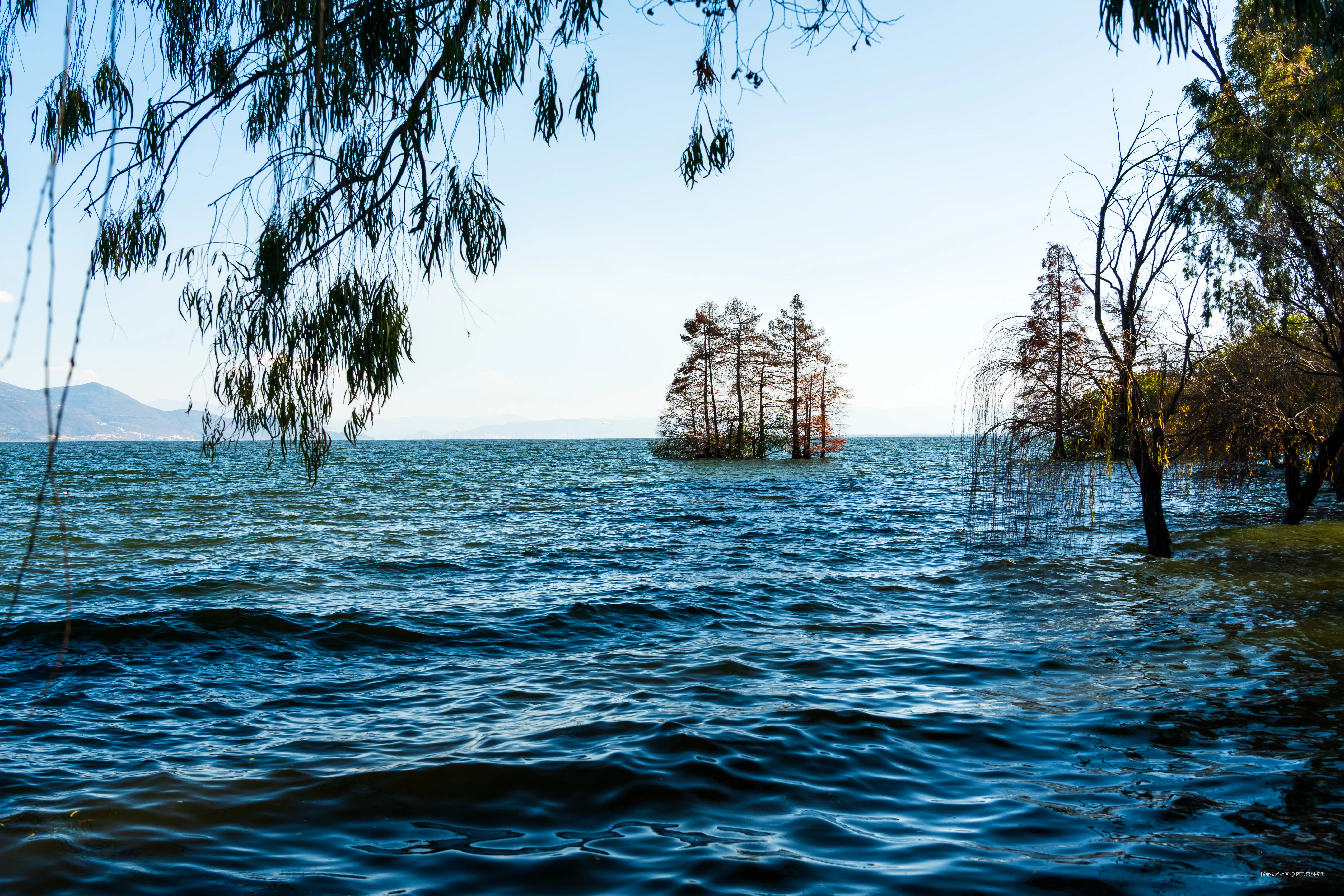 阿飞只想摸鱼于2026-02-11 14:40发布的图片