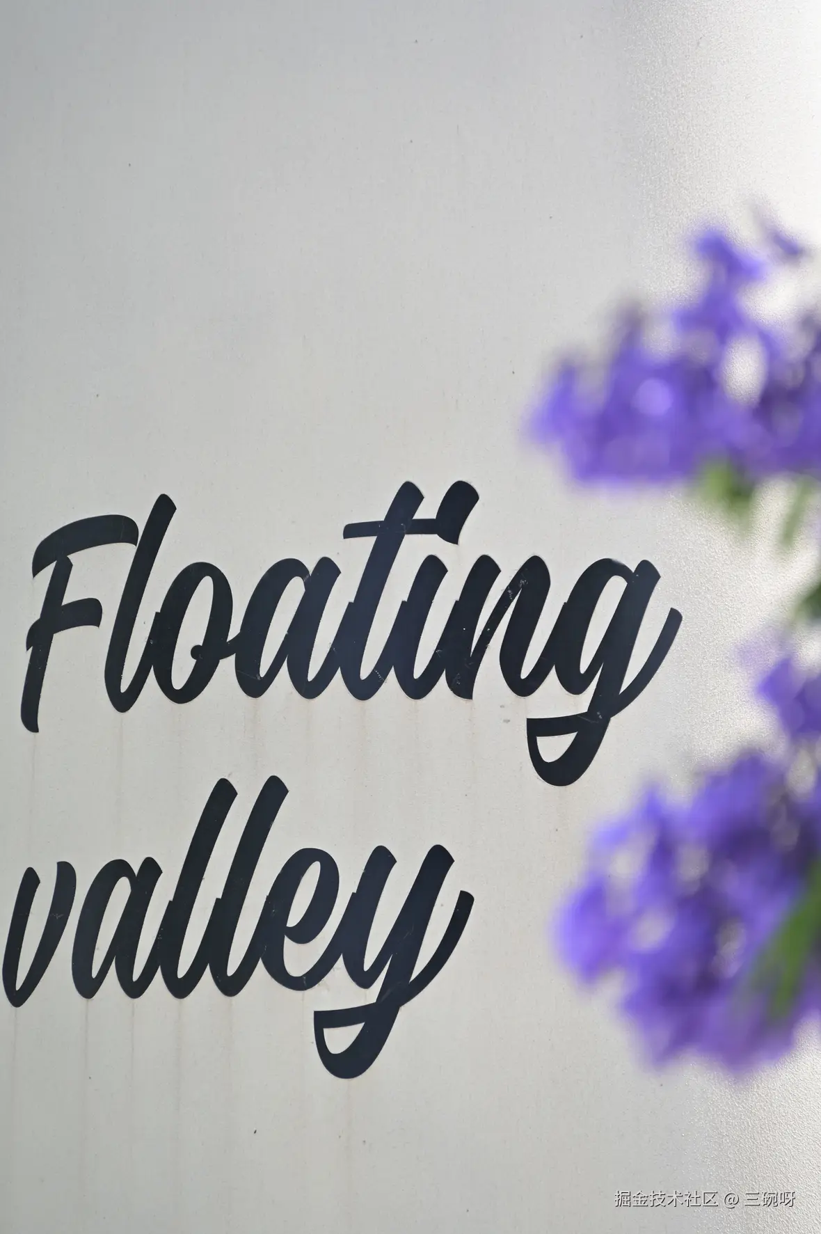 三碗呀于2025-05-26 02:33发布的图片