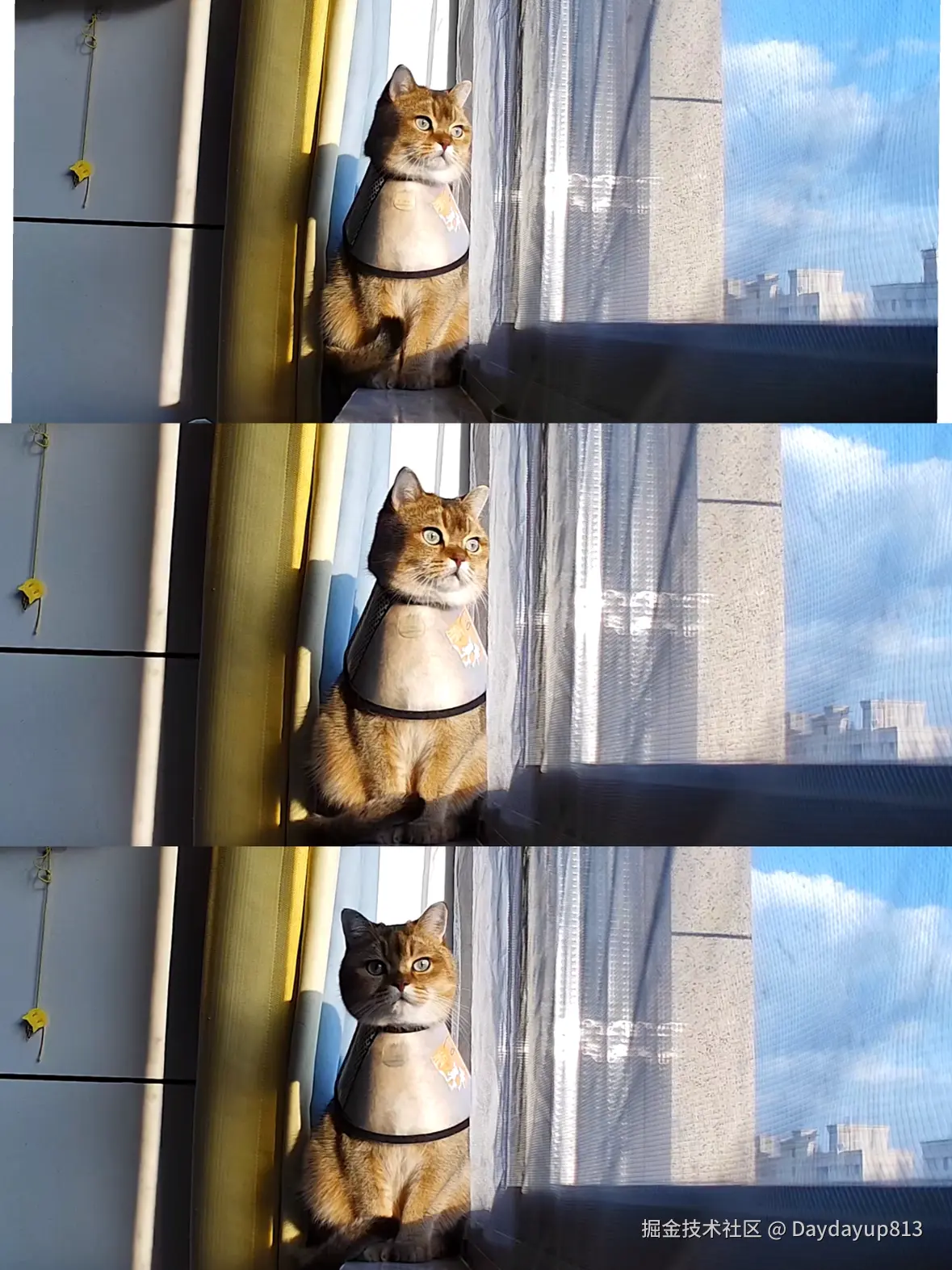 Daydayup813于2026-01-23 16:30发布的图片