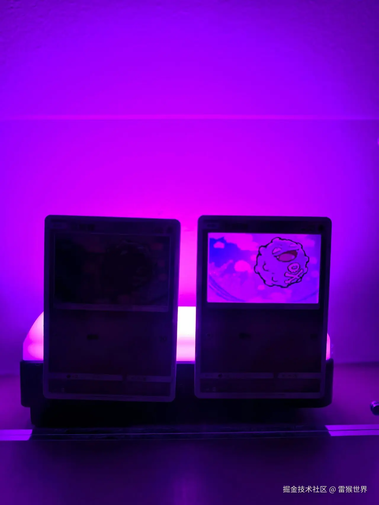 雷猴世界于2025-10-29 09:28发布的图片