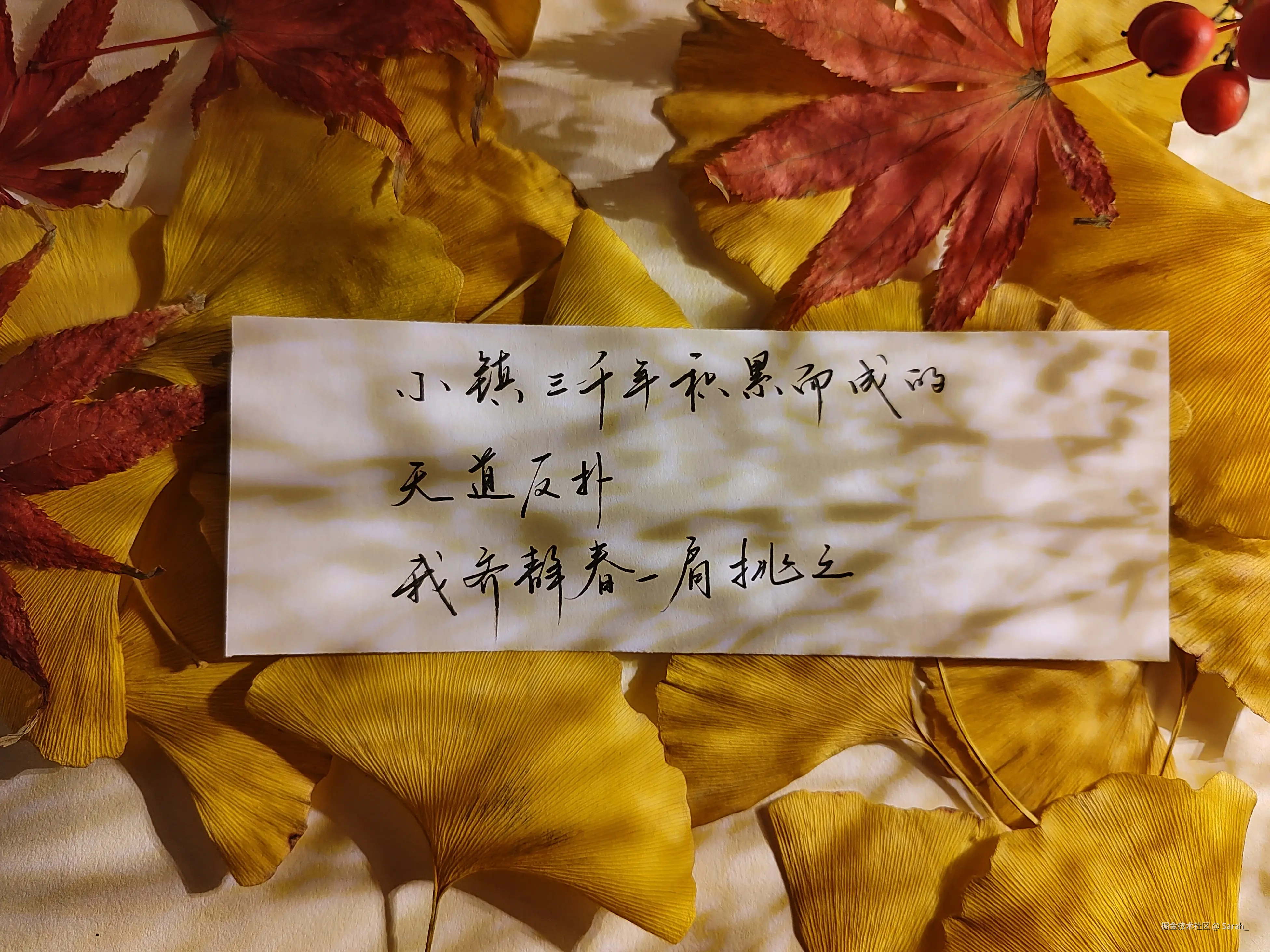 Sarah_于2024-12-25 08:13发布的图片