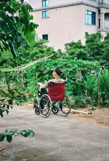 神秘闪亮大蝴蝶于2026-06-23 10:22发布的图片