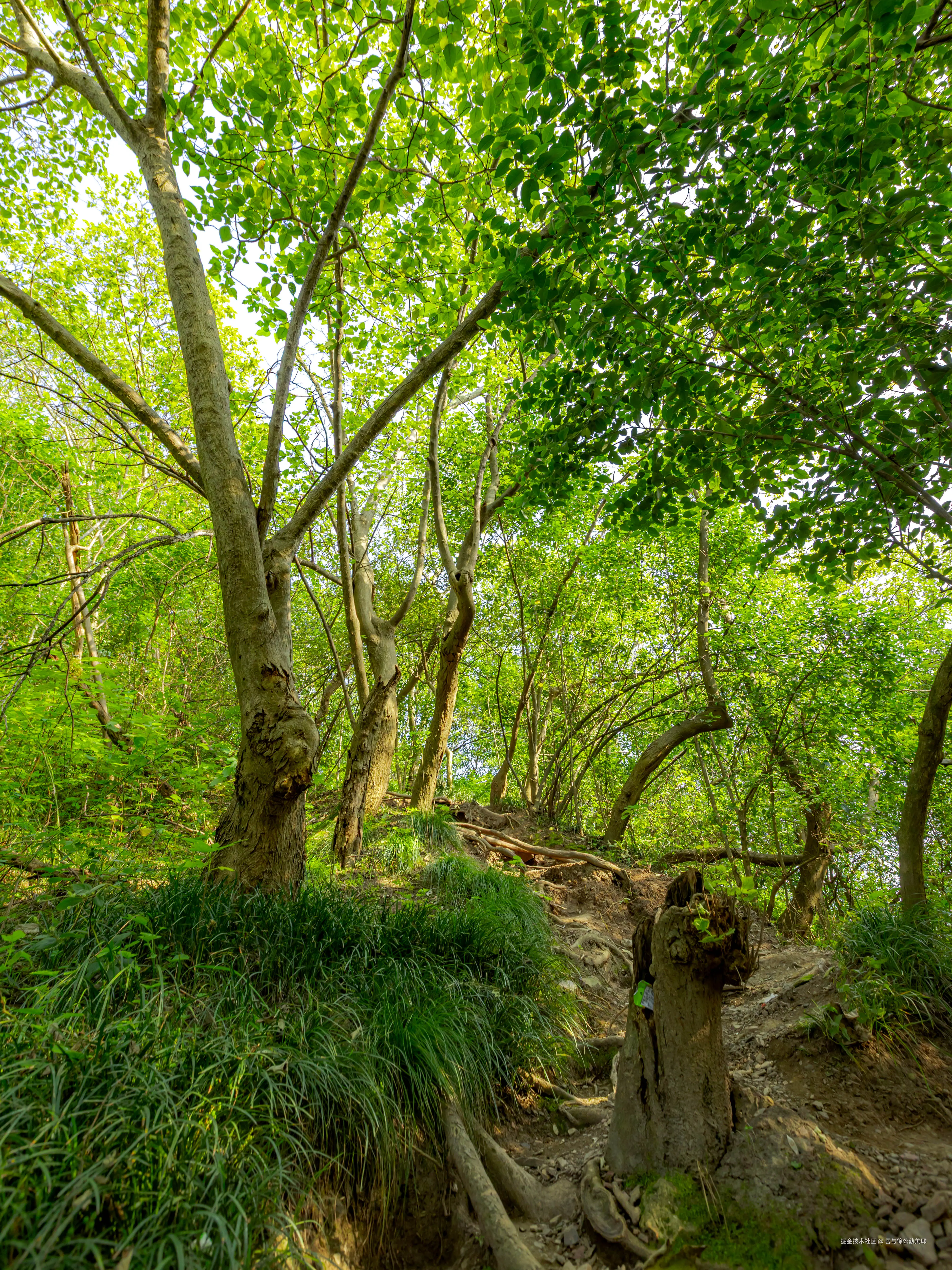 吾与徐公孰美耶于2025-11-13 09:37发布的图片