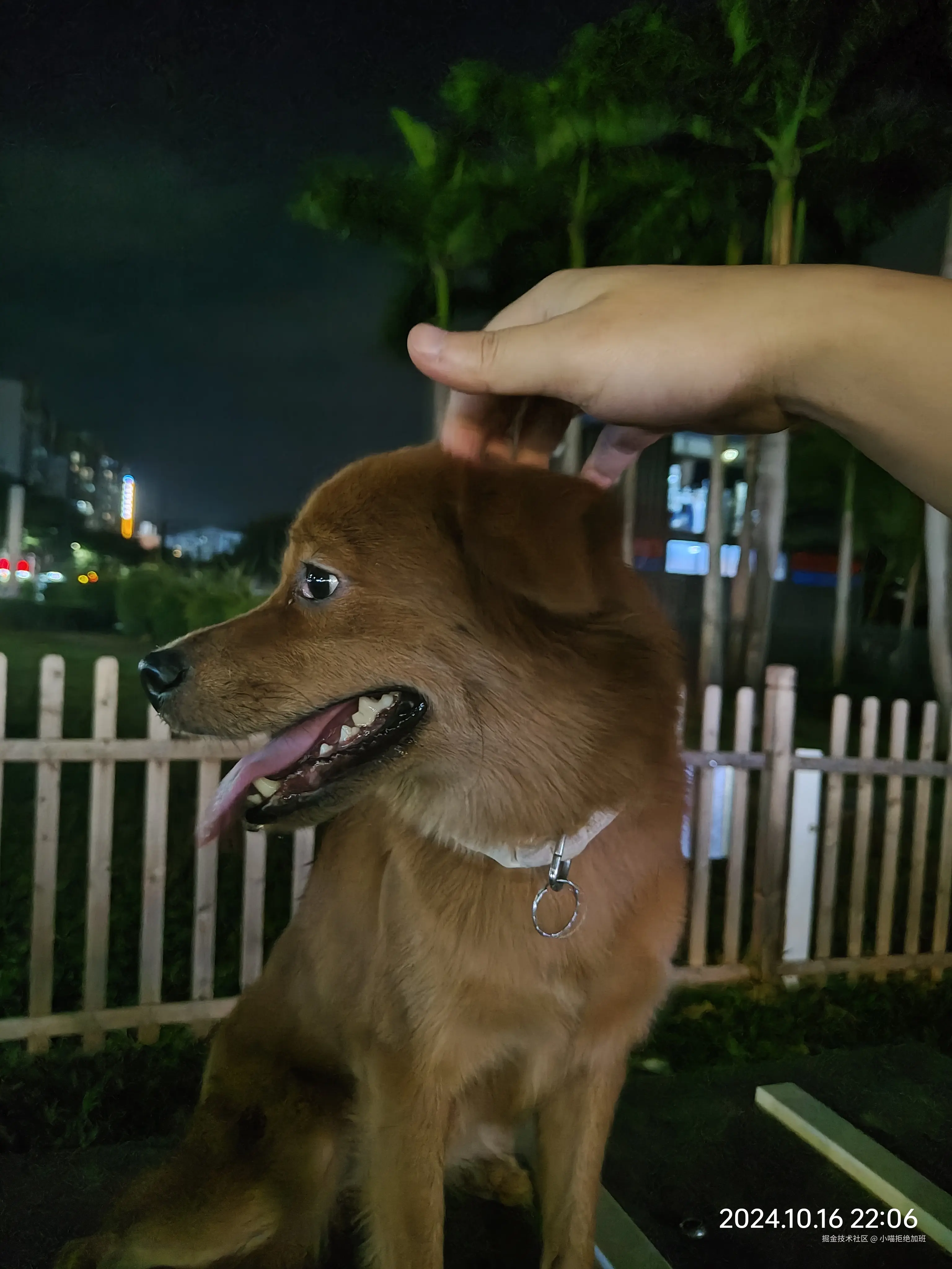 小喵拒绝加班于2024-10-16 22:22发布的图片