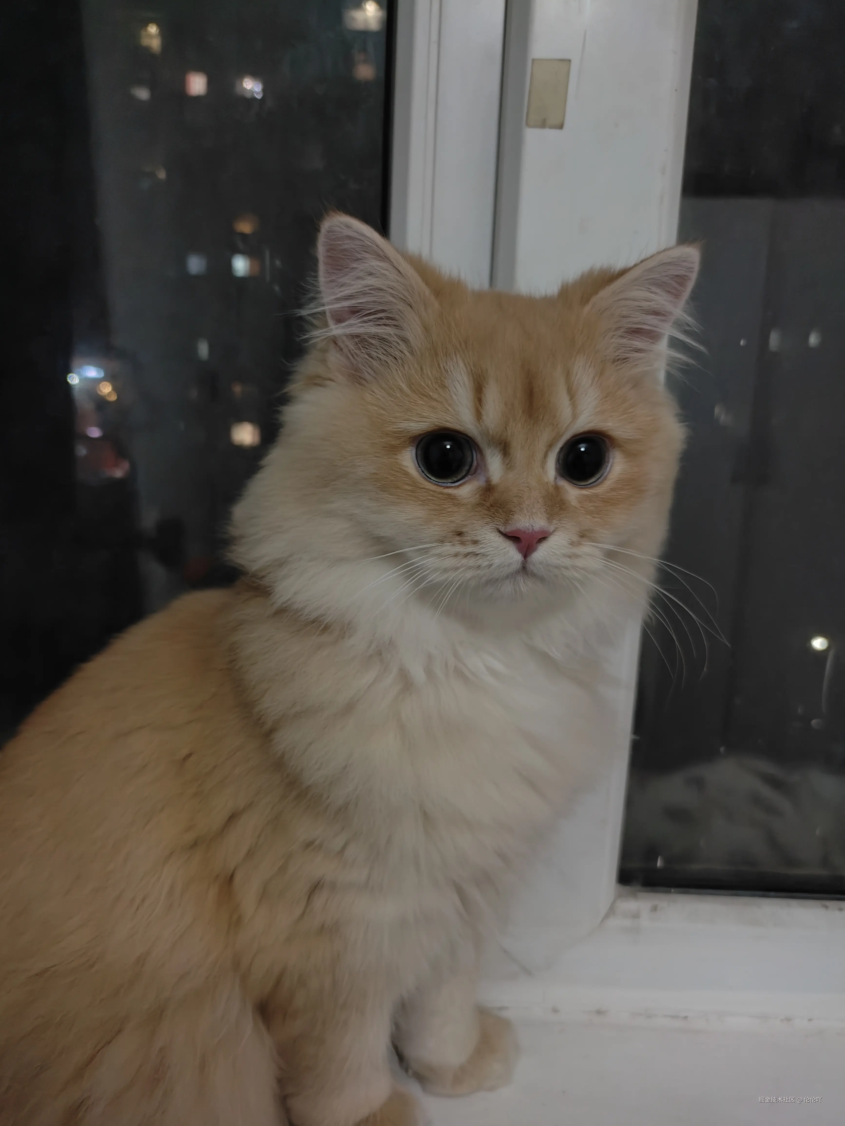 伦伦吖于2024-11-28 02:04发布的图片