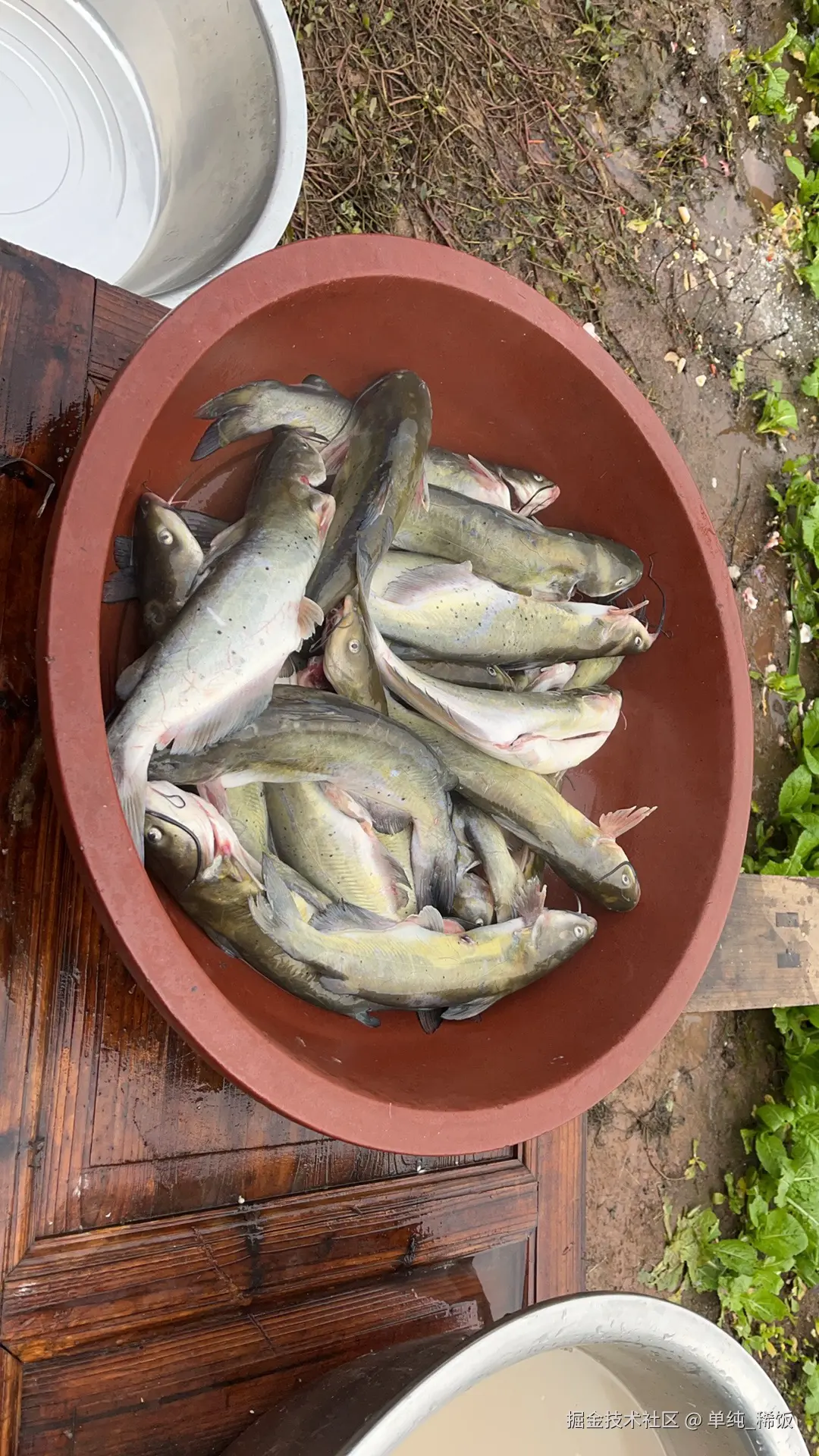 单纯_稀饭于2026-01-31 10:32发布的图片