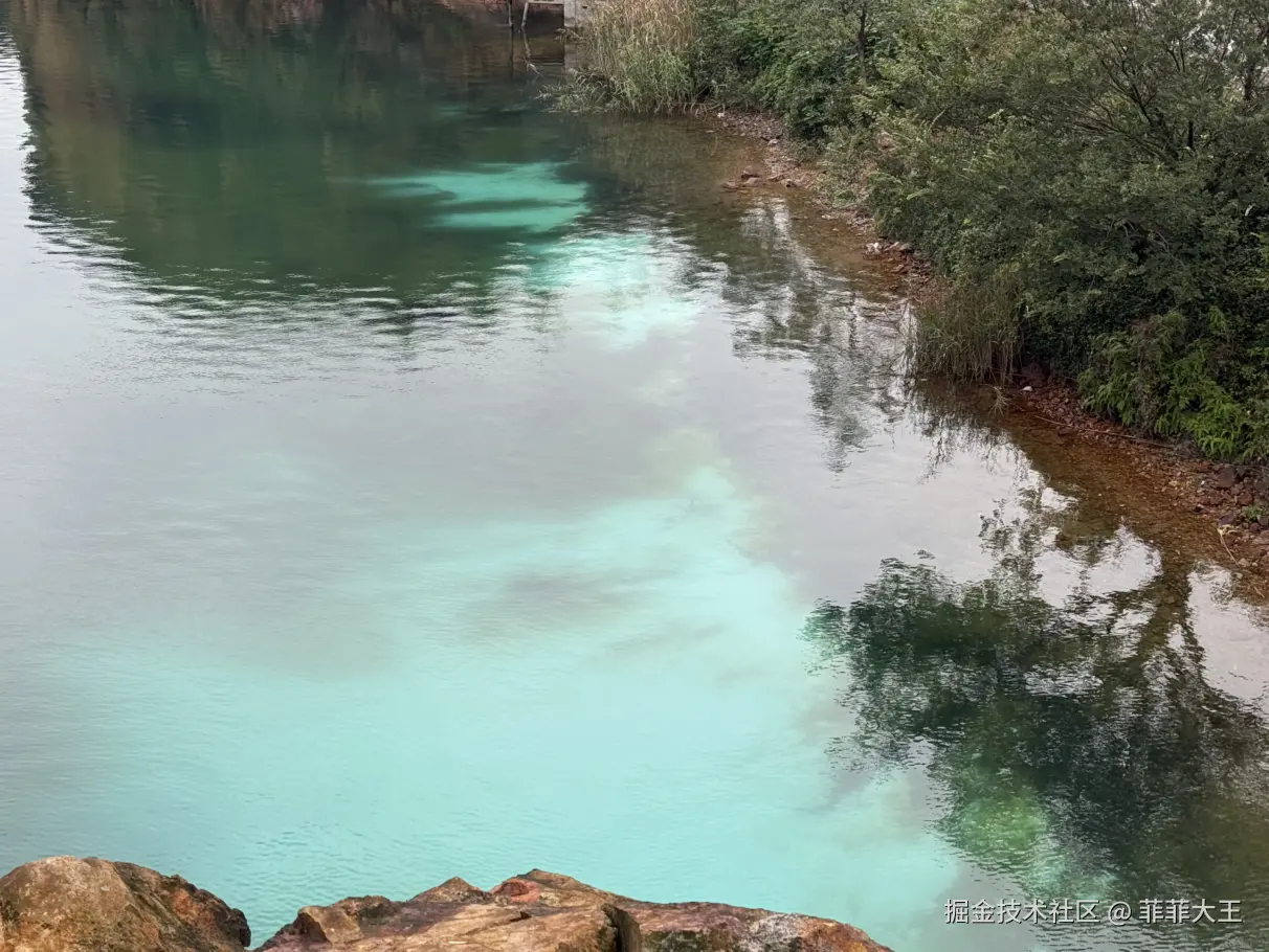 菲菲大王于2025-11-10 15:30发布的图片