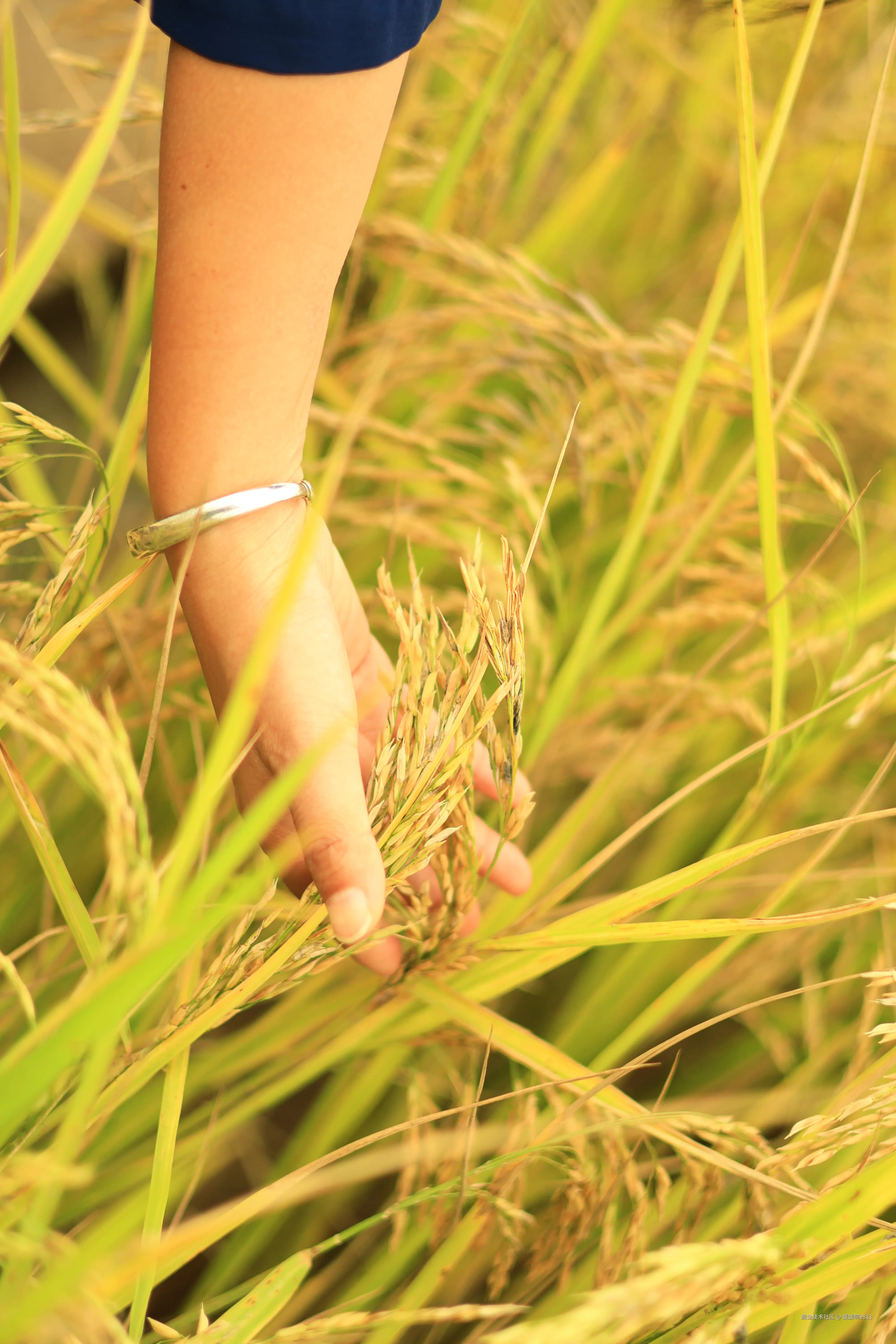 媛媛啊9813于2025-11-09 21:29发布的图片