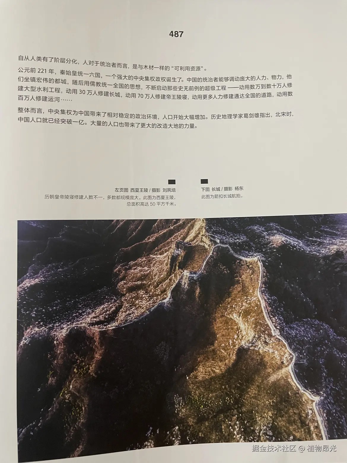 植物昂光于2026-05-01 20:43发布的图片