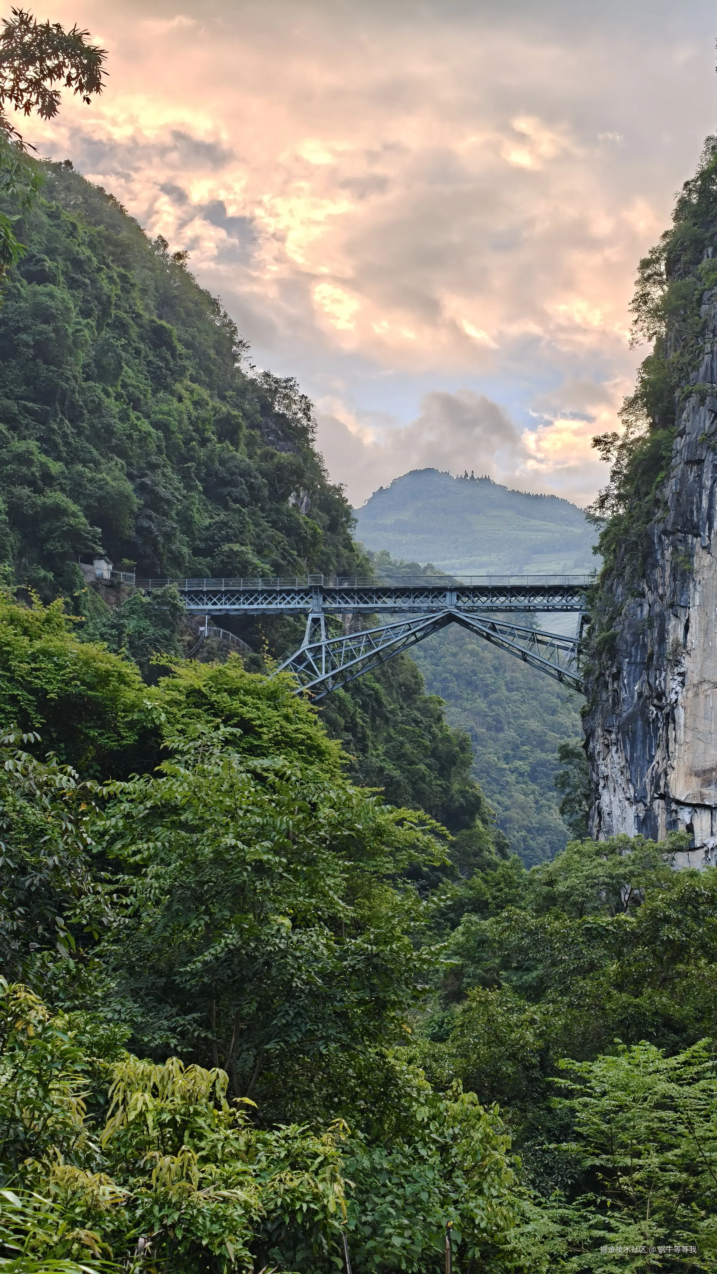 蜗牛等等我于2025-08-11 10:05发布的图片