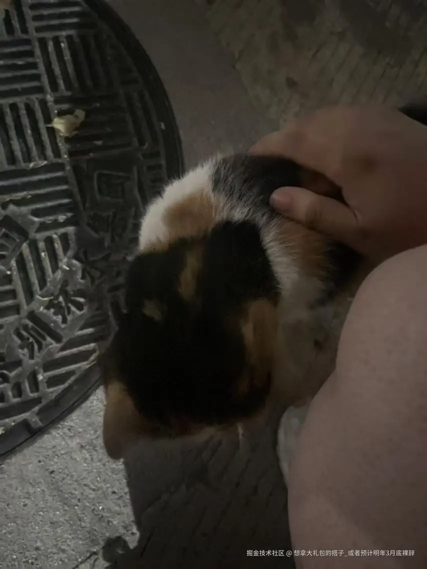 想拿大礼包的搭子_或者预计明年3月底裸辞于2024-12-24 11:31发布的图片