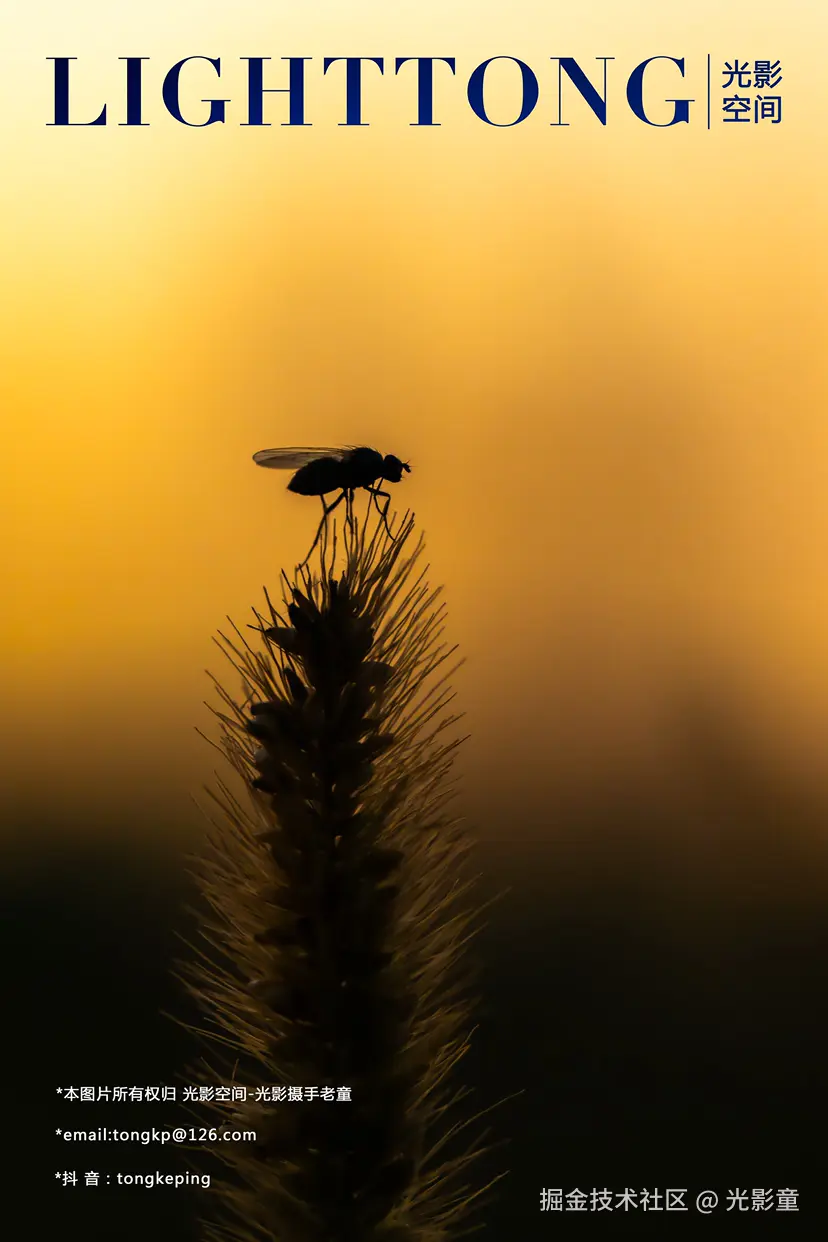 光影童于2024-12-01 08:33发布的图片