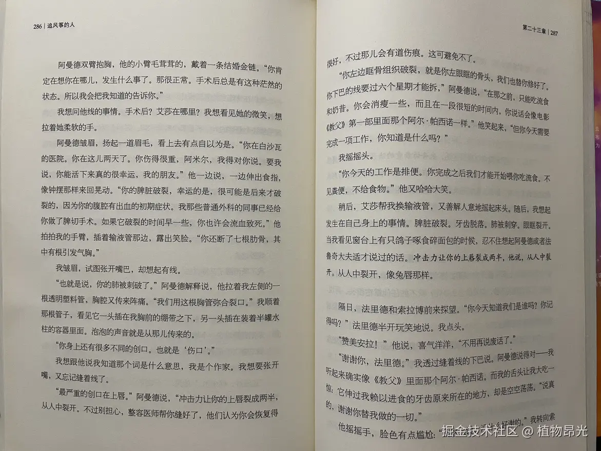 植物昂光于2026-08-06 14:27发布的图片
