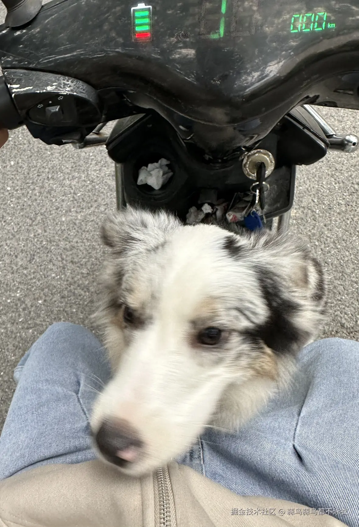 蒜鸟蒜鸟都不泳衣于2025-01-21 15:54发布的图片