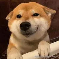 月是故乡明429于2025-10-09 00:43发布的图片