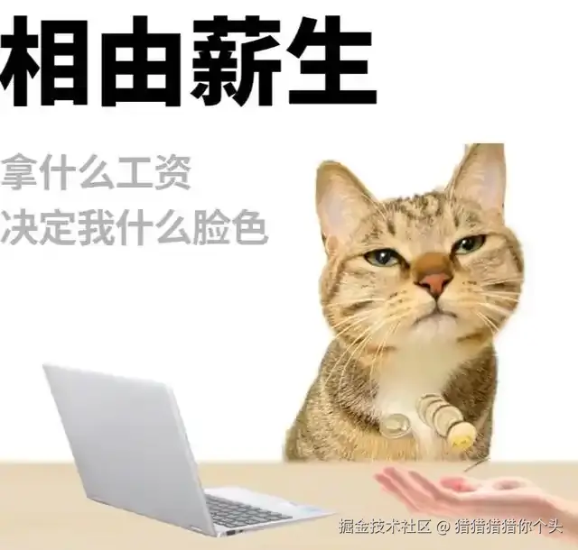 猎猎猎猎你个头于2024-12-31 13:42发布的图片