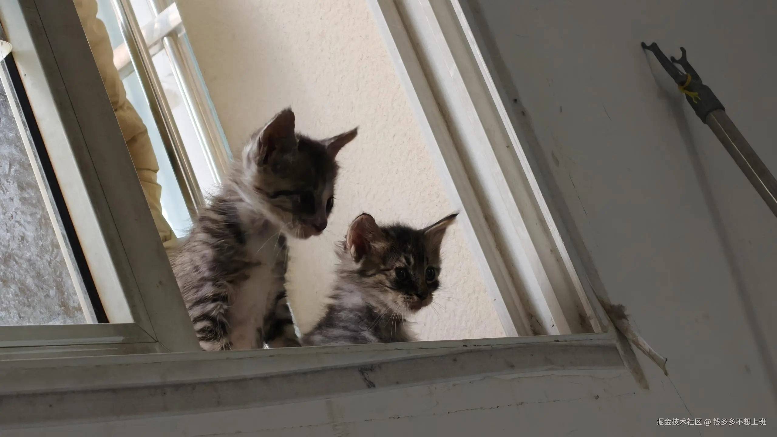 钱多多不想上班于2025-05-26 09:33发布的图片