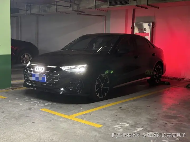 金闪闪的黄皮耗子于2026-03-17 02:41发布的图片