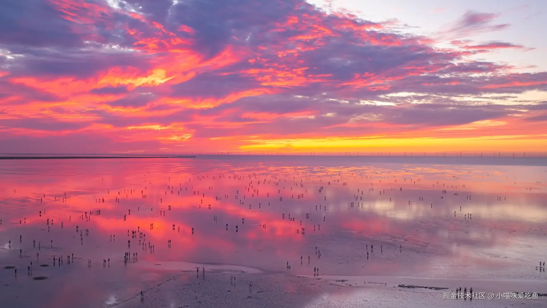 小喵咪爱吃鱼于2024-08-19 20:10发布的图片