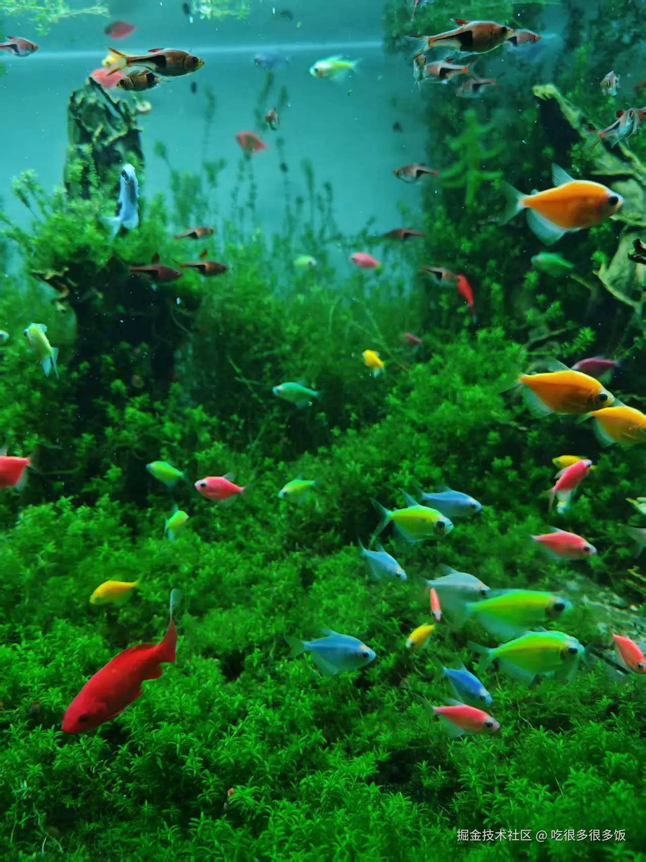 吃很多很多饭于2026-02-26 07:14发布的图片