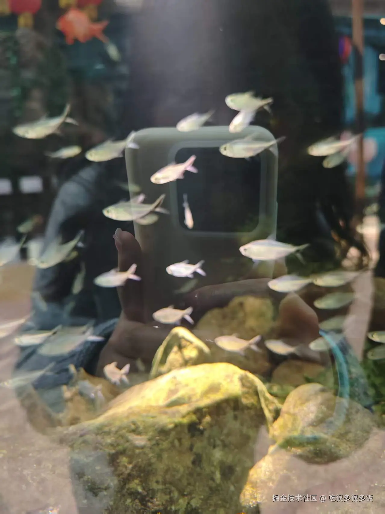 吃很多很多饭于2026-02-26 07:14发布的图片