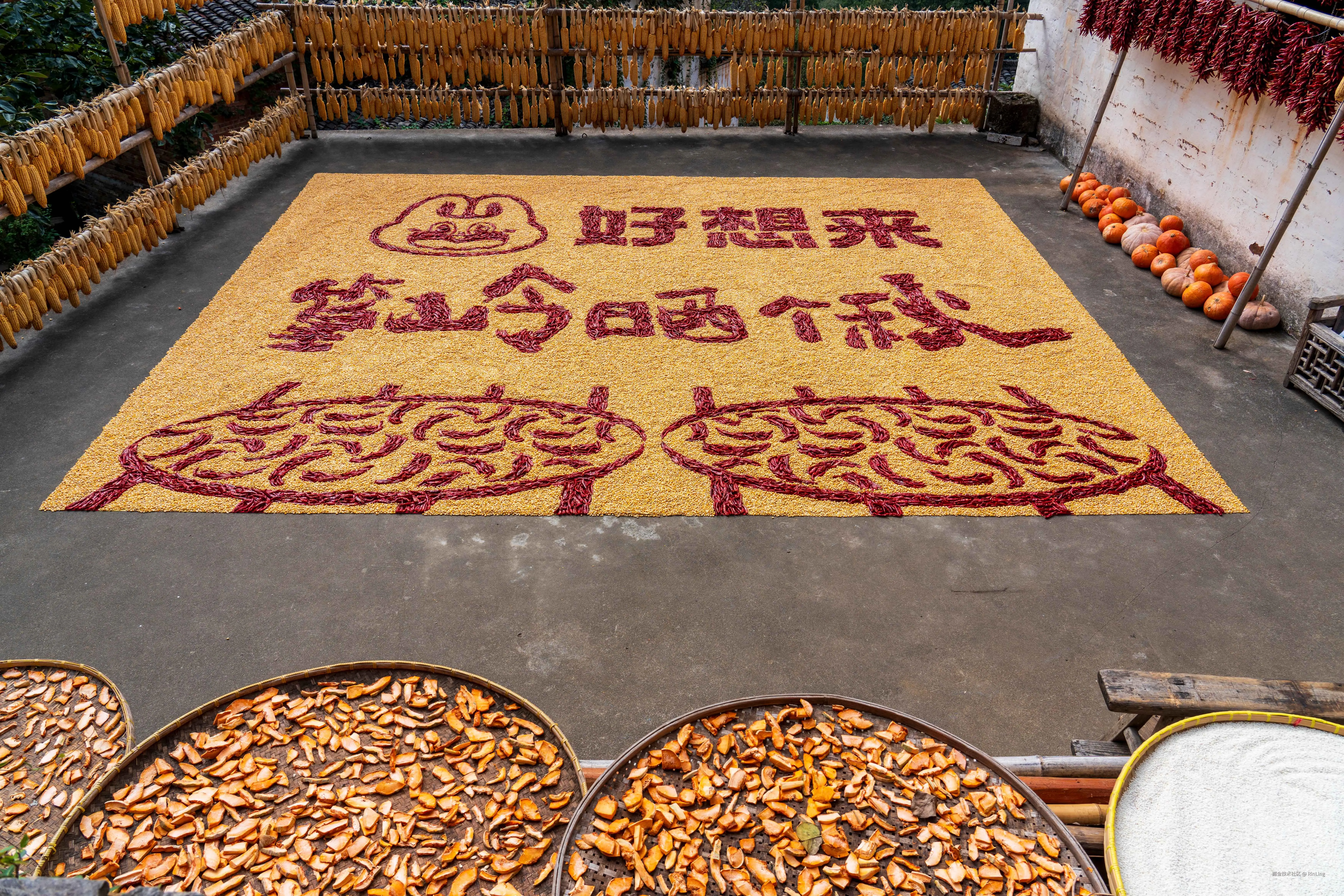 RinLing于2025-10-27 10:49发布的图片