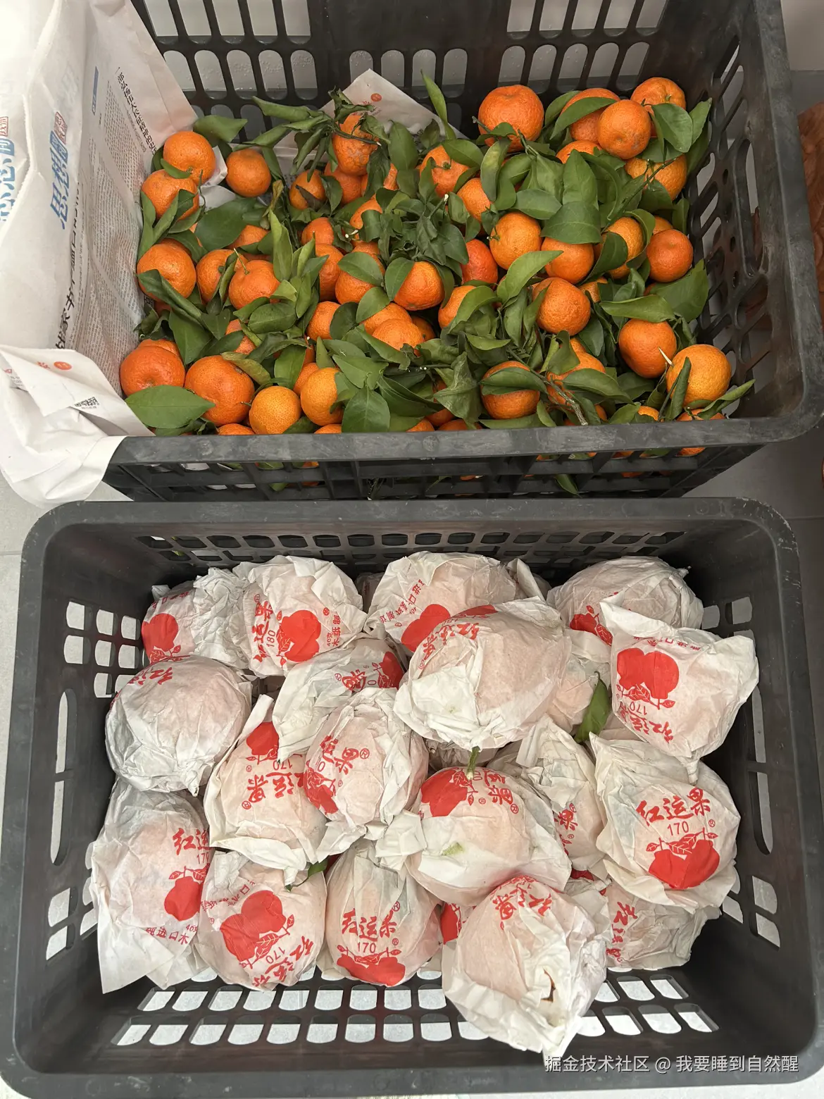 我要睡到自然醒于2026-02-16 23:28发布的图片