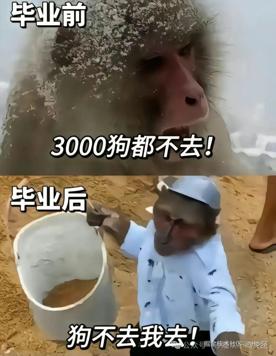 Ho83于2024-11-12 12:52发布的图片