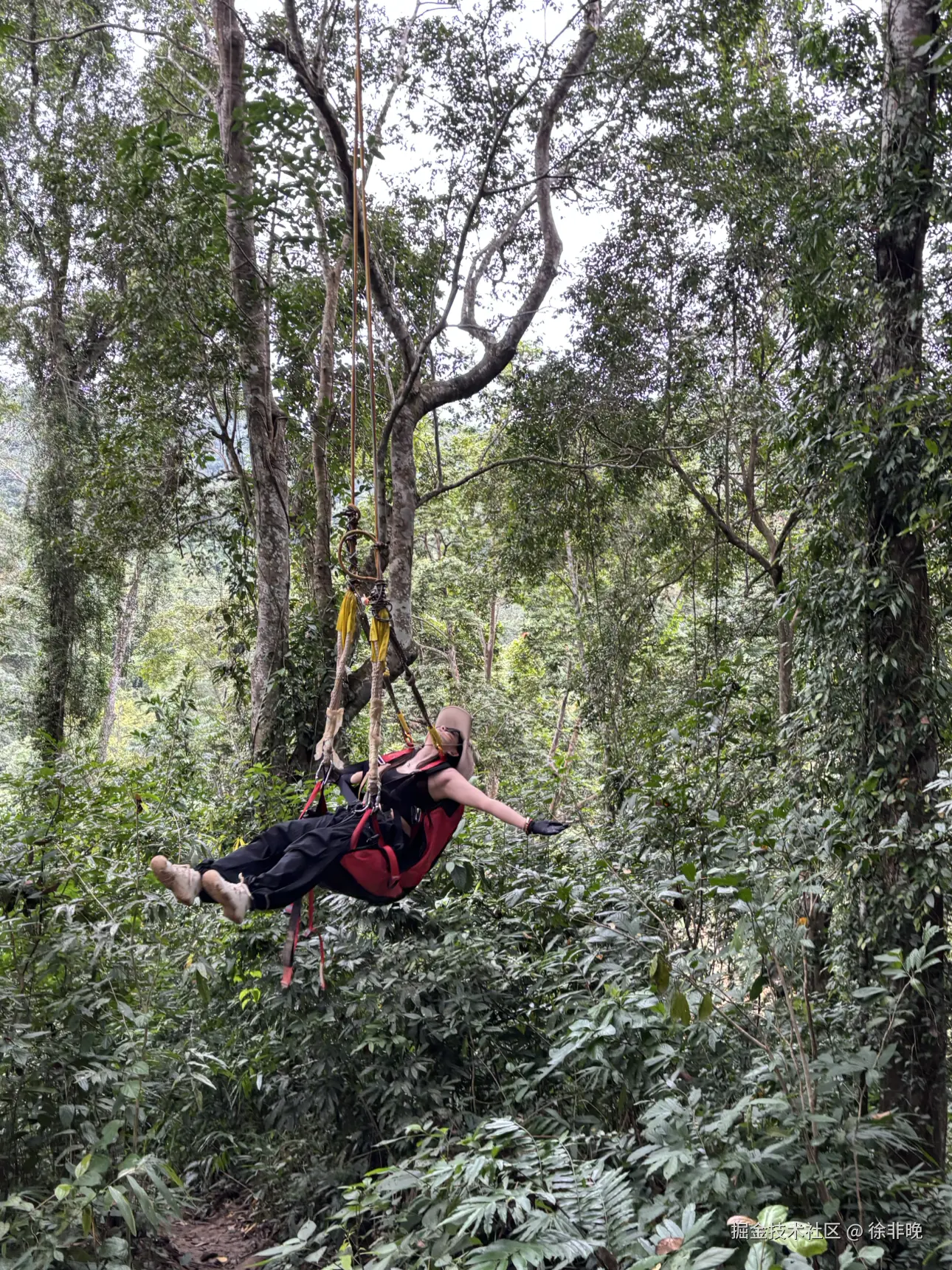 徐非晚于2024-12-03 06:37发布的图片