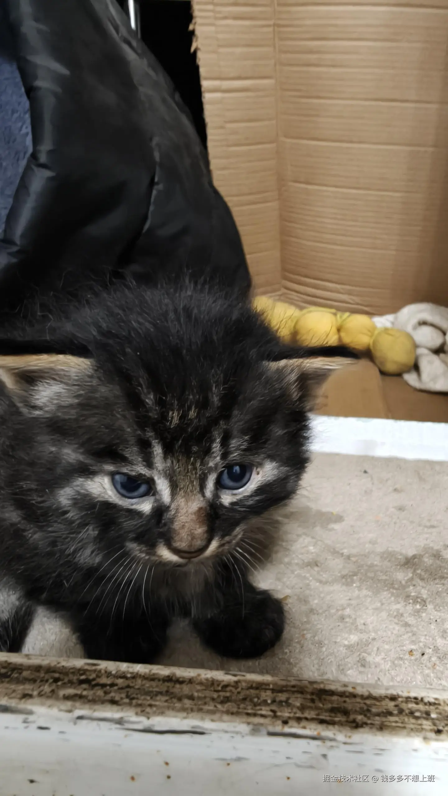 钱多多不想上班于2025-05-08 14:51发布的图片