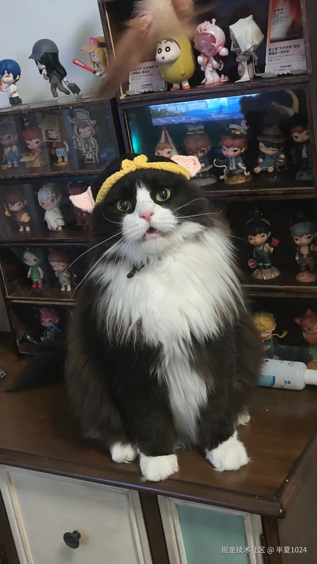 半夏1024于2025-06-25 03:23发布的图片