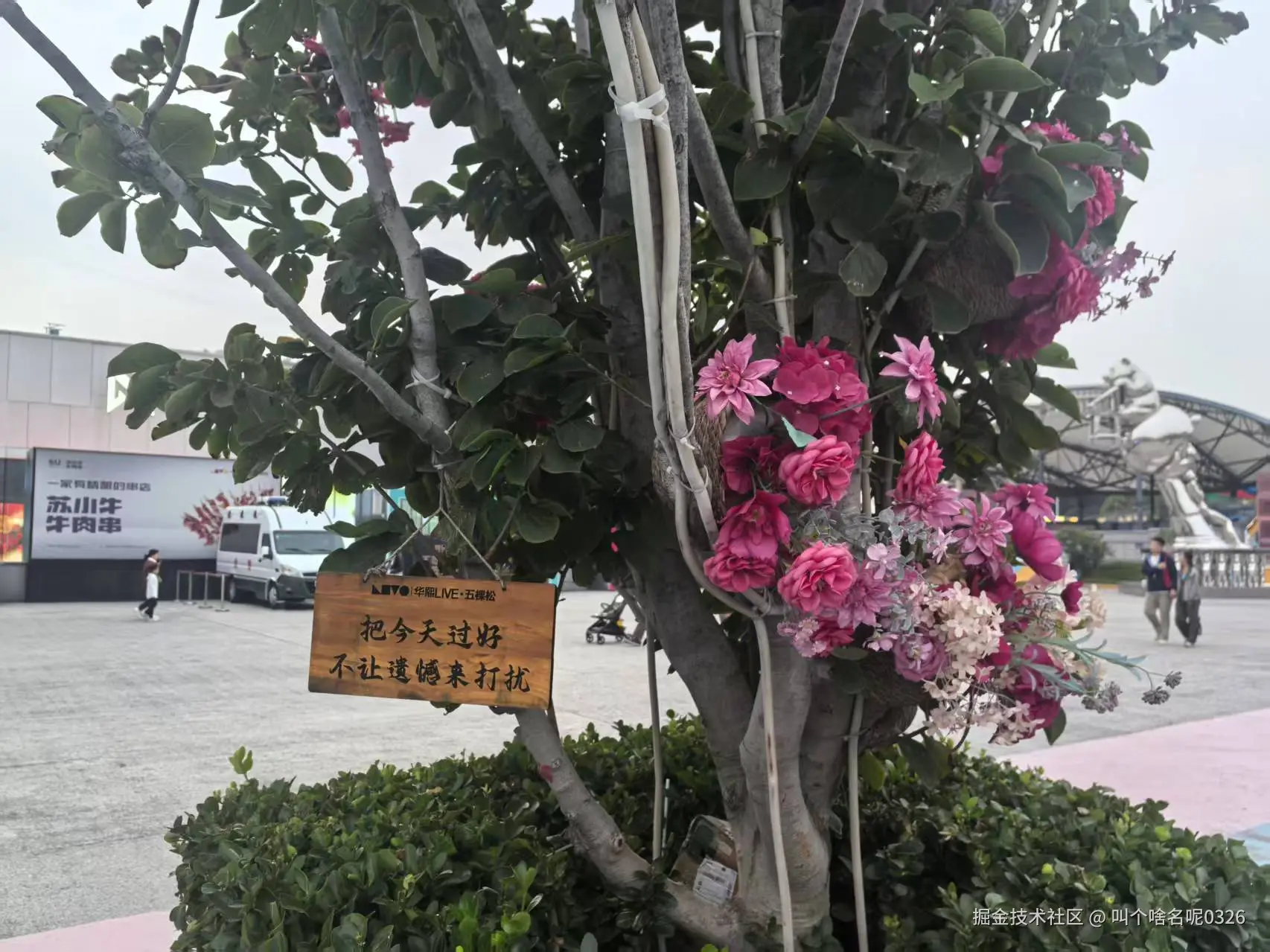 叫个啥名呢0326于2025-09-30 10:10发布的图片