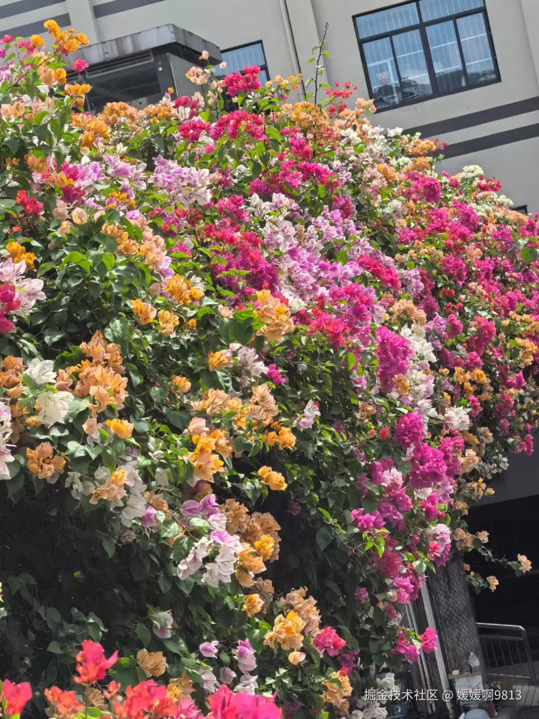 媛媛啊9813于2024-10-18 22:47发布的图片