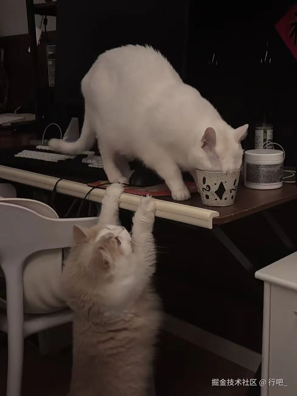 行吧_于2026-04-08 11:37发布的图片