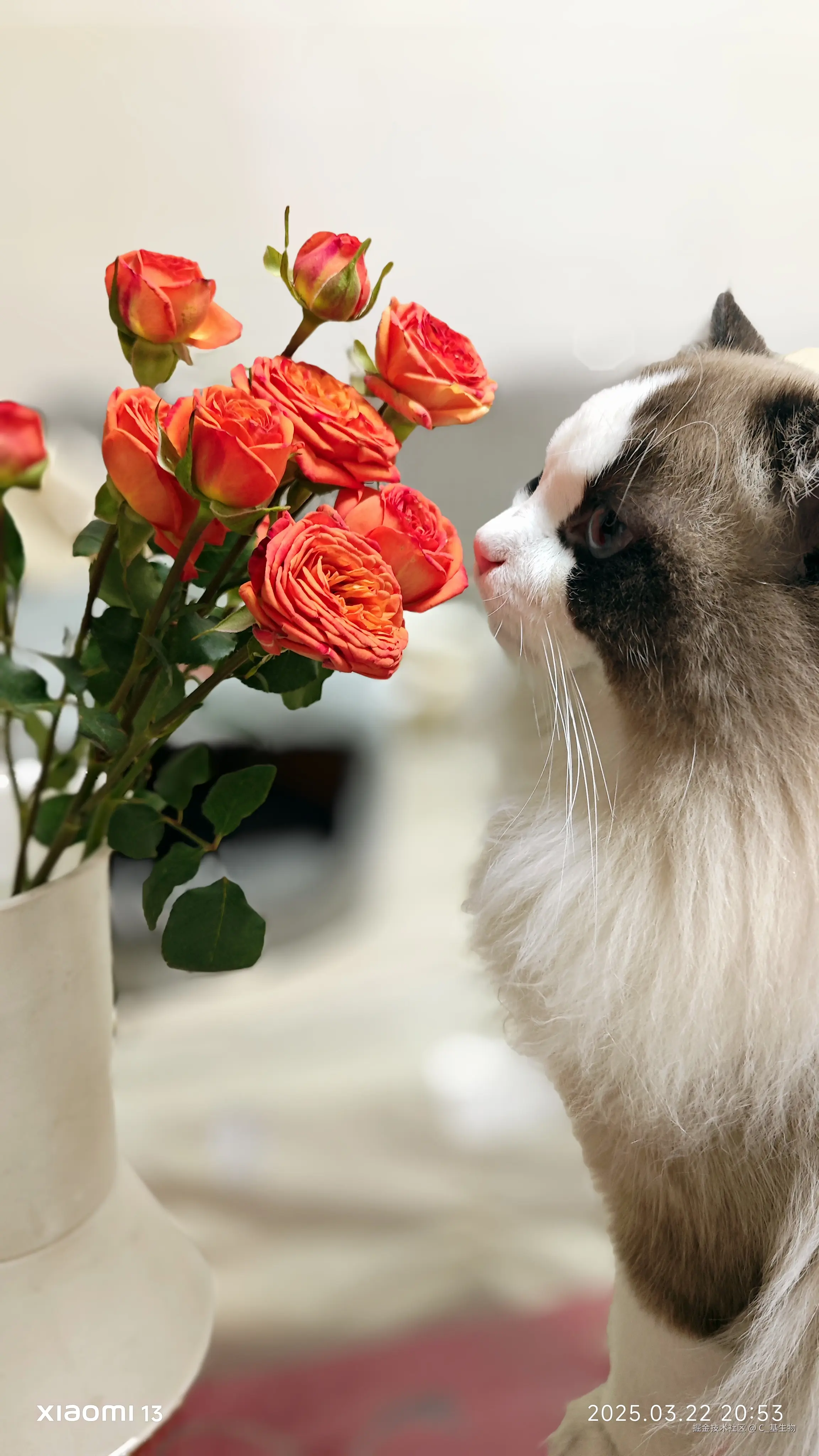 C_基生物于2025-03-24 12:03发布的图片