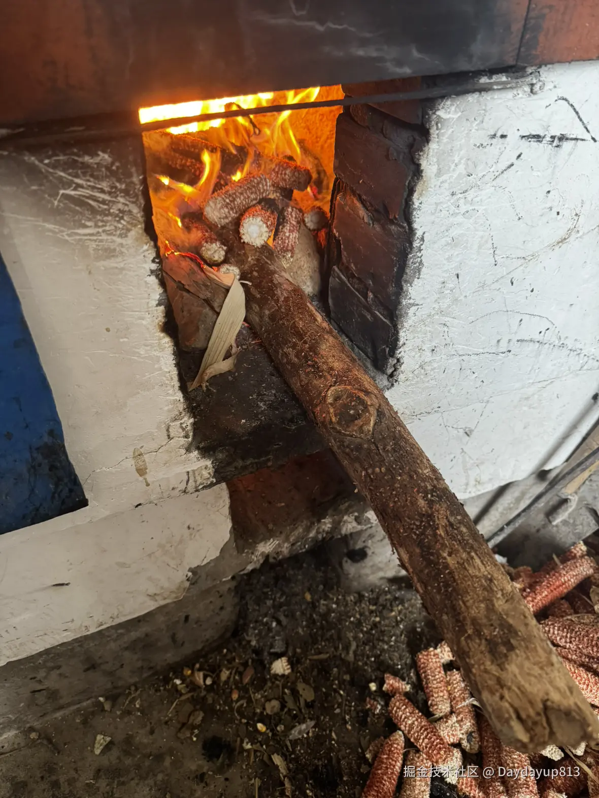 Daydayup813于2025-01-25 12:06发布的图片