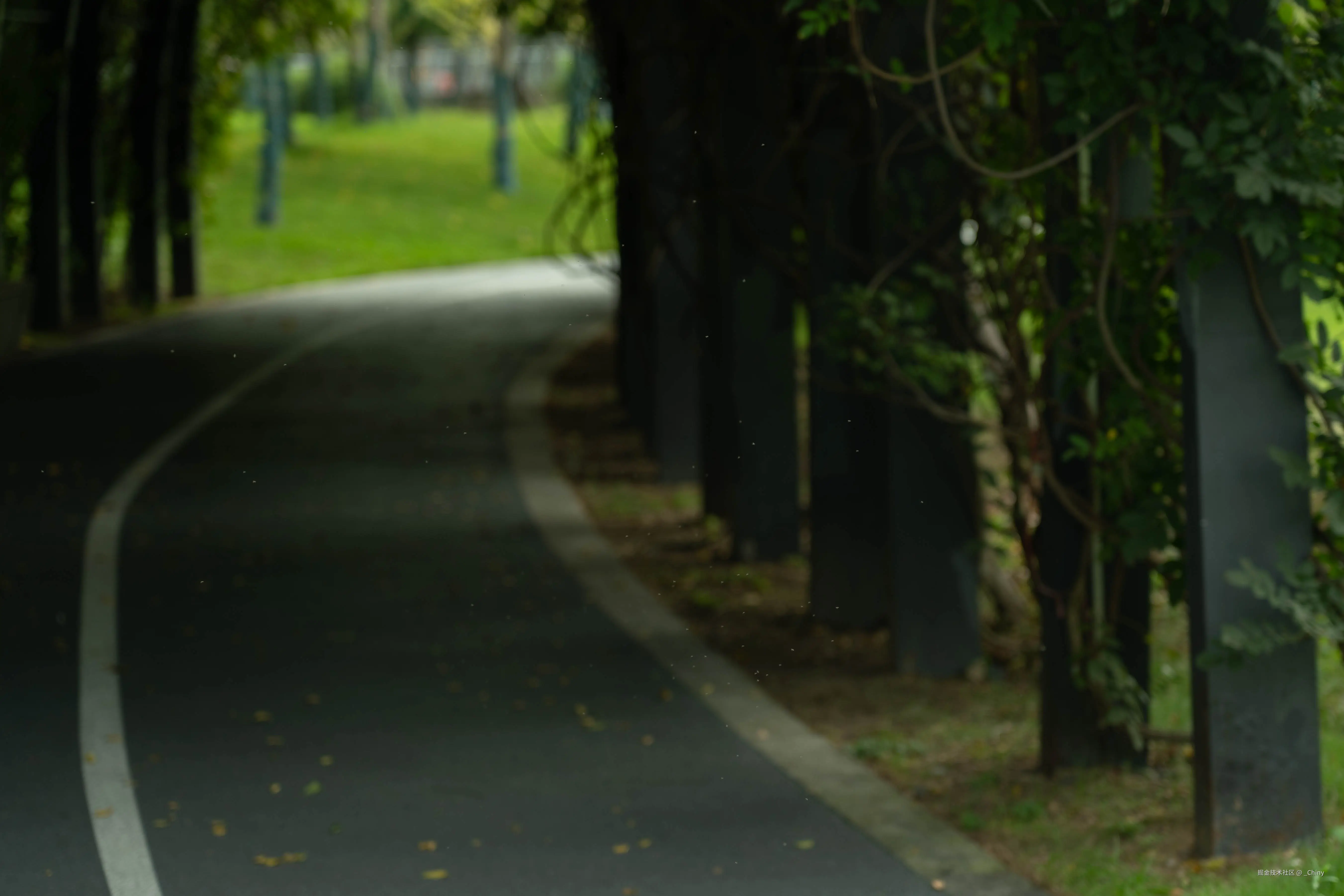 _Chiny于2024-10-14 16:09发布的图片