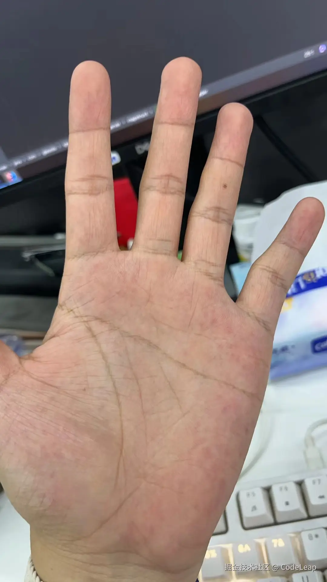 CodeLeap于2024-07-29 10:17发布的图片