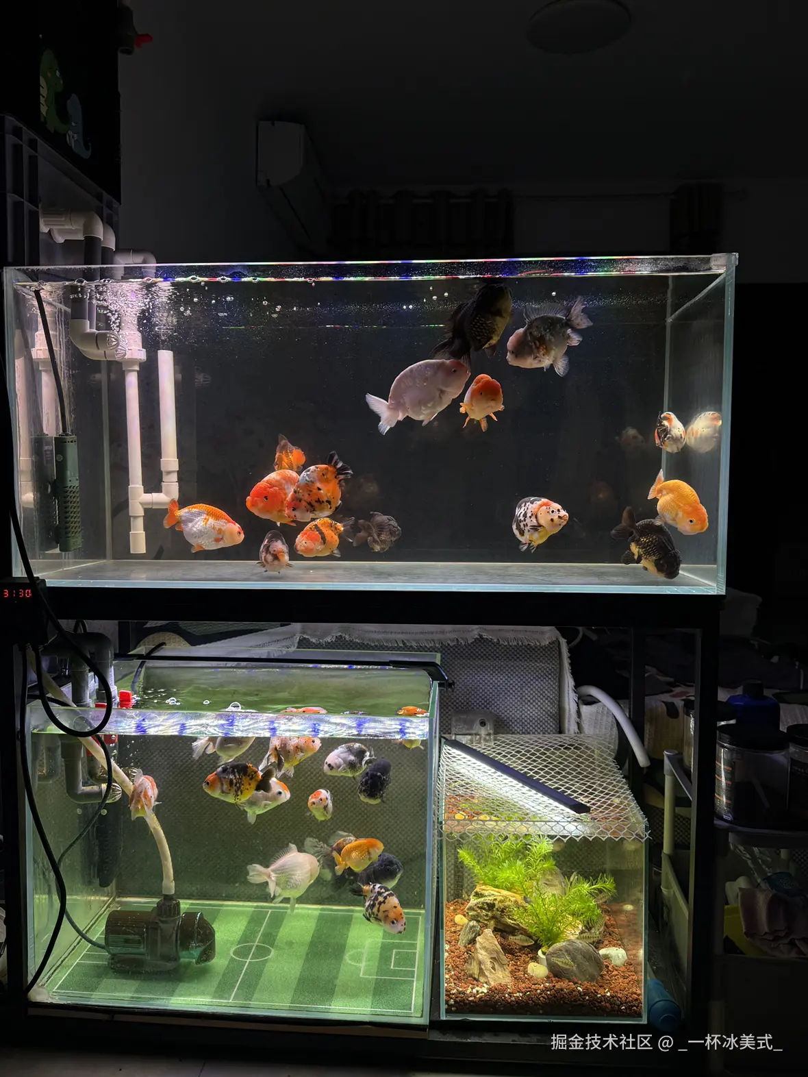 _一杯冰美式_于2024-12-03 10:40发布的图片