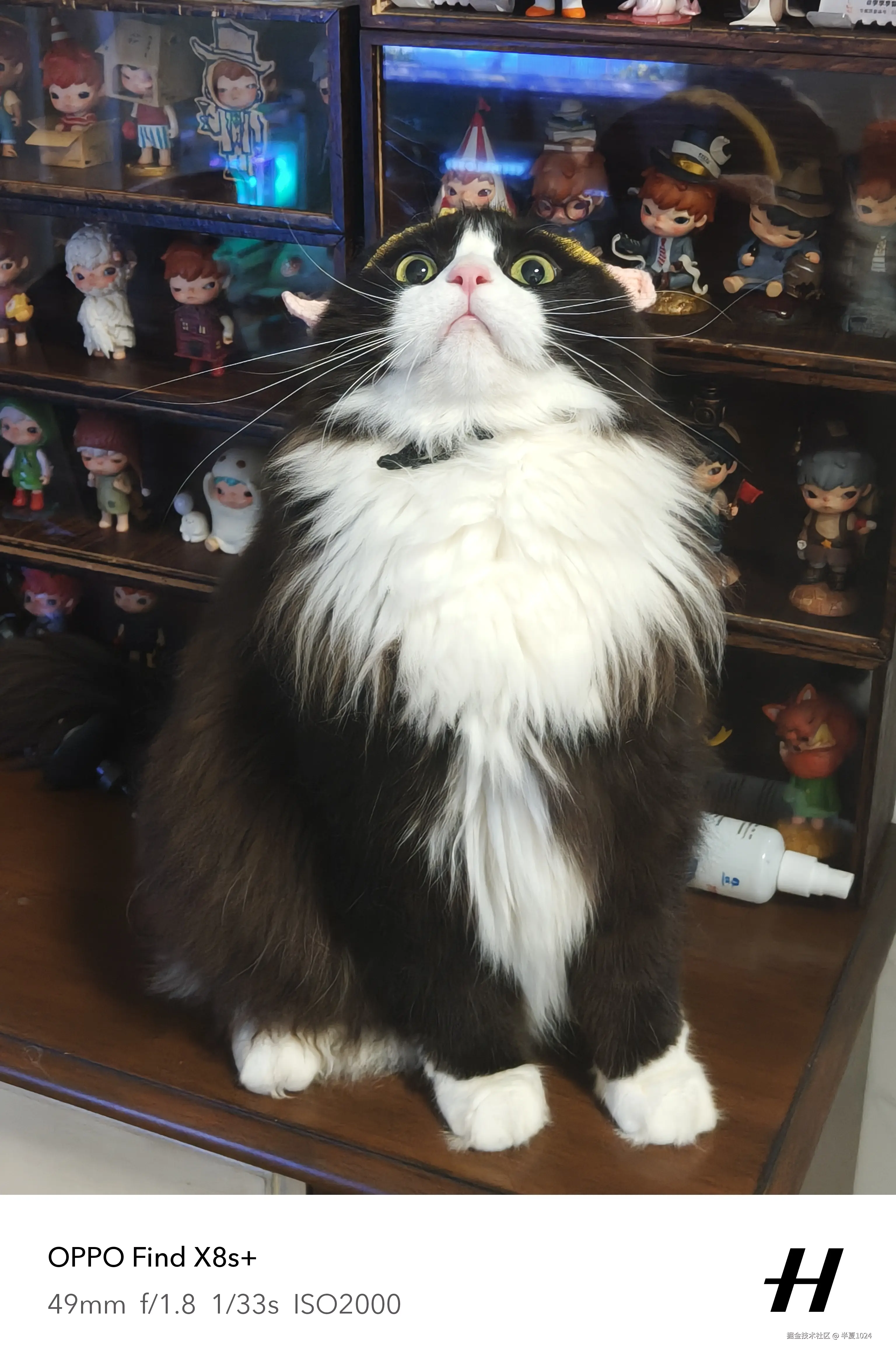 半夏1024于2025-06-25 03:23发布的图片