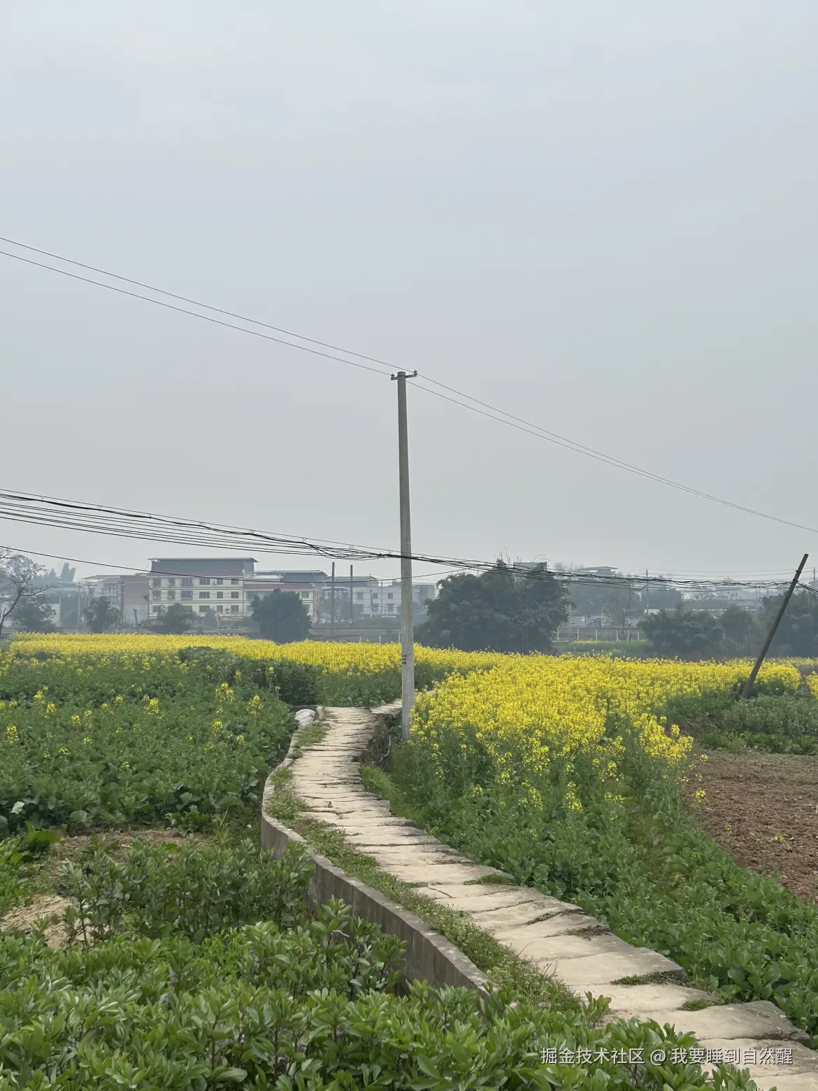 我要睡到自然醒于2026-02-17 17:43发布的图片