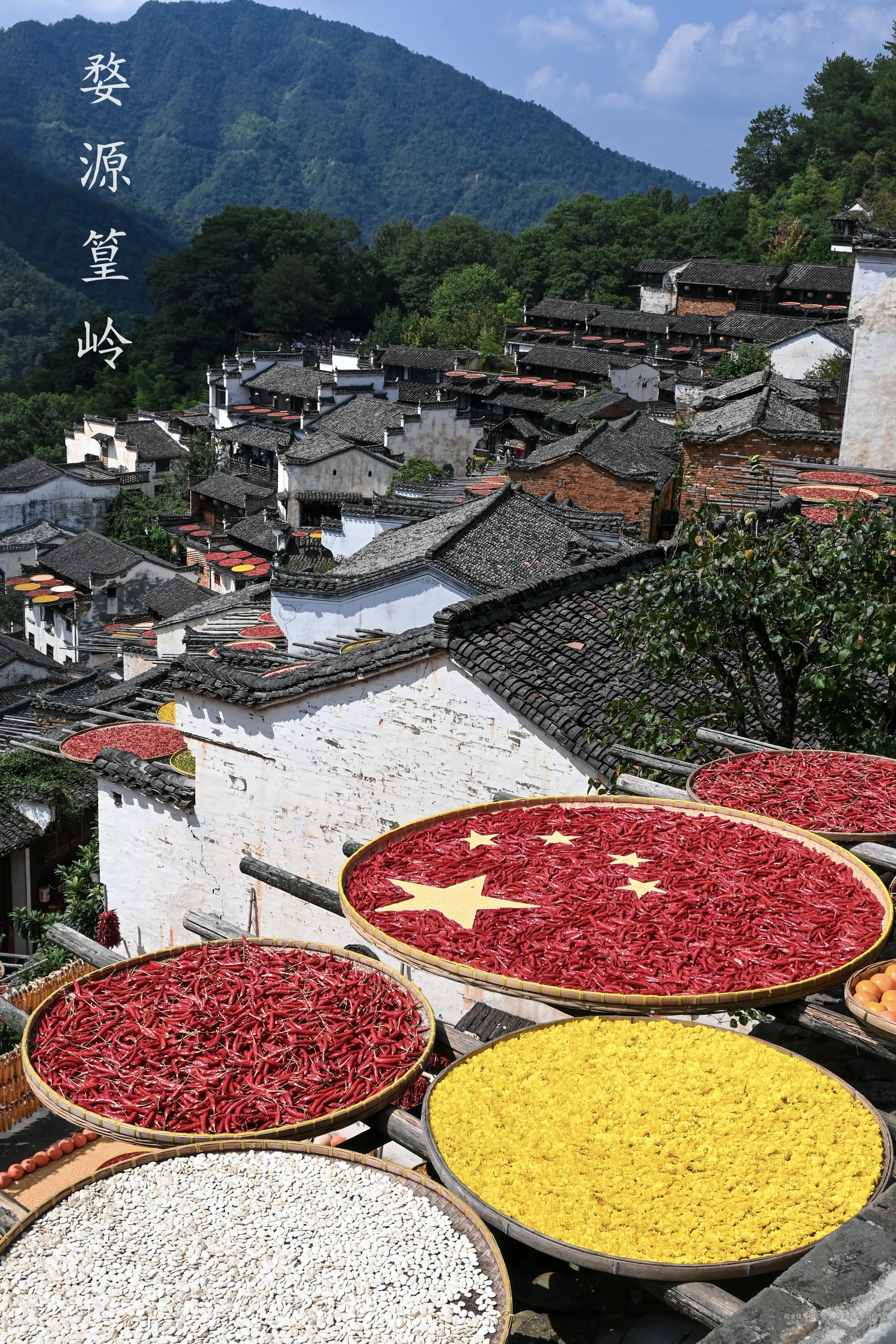 63岁高龄程序员于2025-10-09 14:56发布的图片