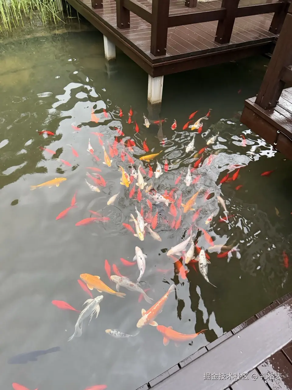 礼格表于2026-04-07 13:38发布的图片