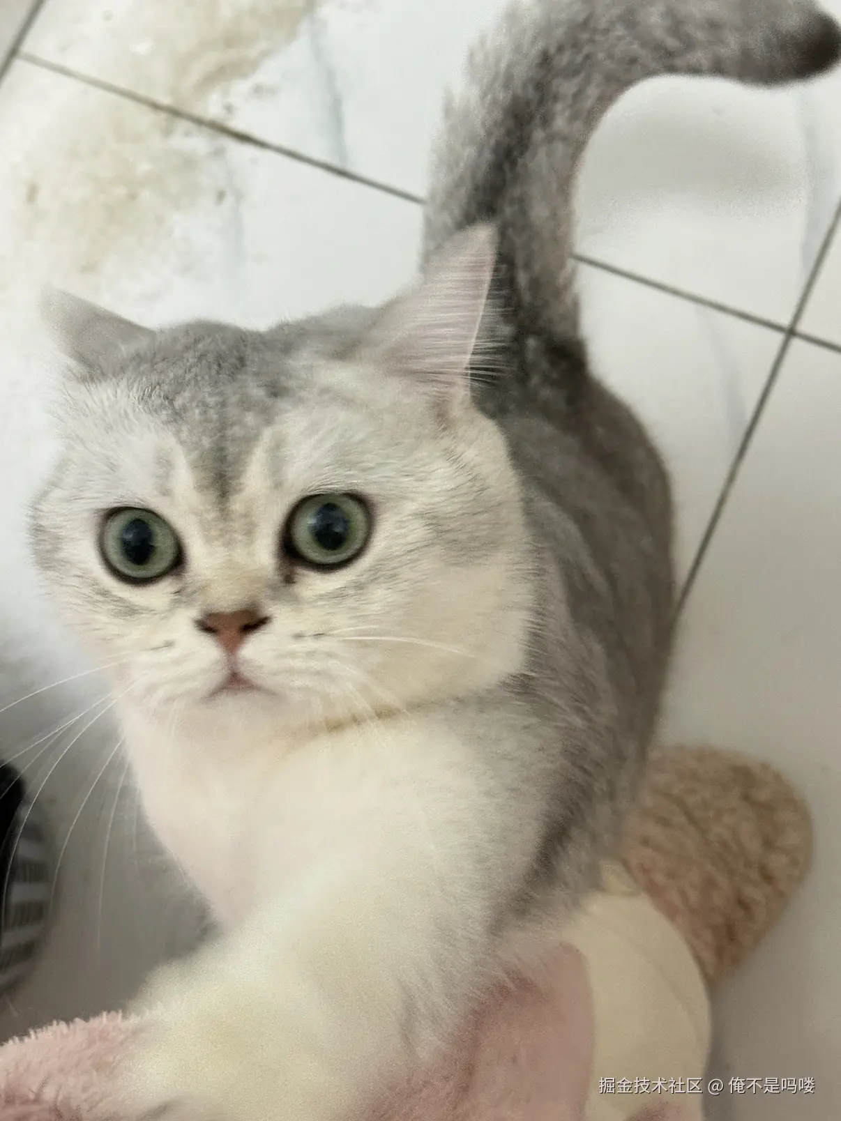 俺不是吗喽于2025-12-18 10:10发布的图片