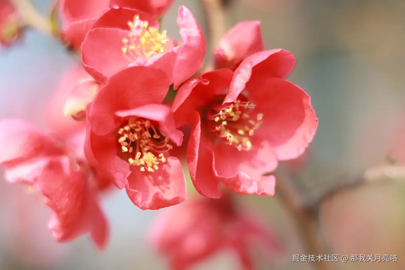 那我关月亮咯于2025-03-03 09:50发布的图片