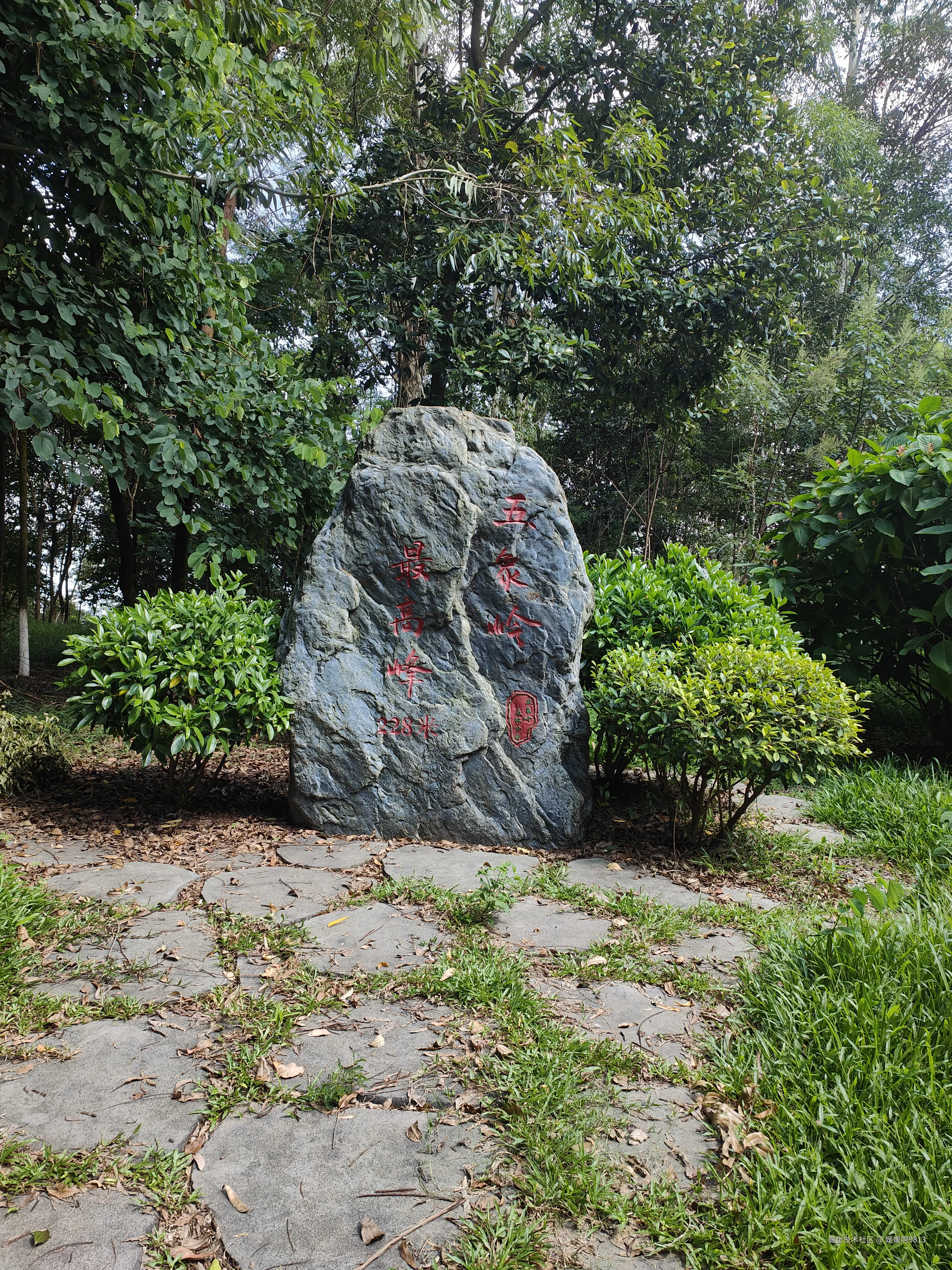 媛媛啊9813于2025-08-23 11:52发布的图片