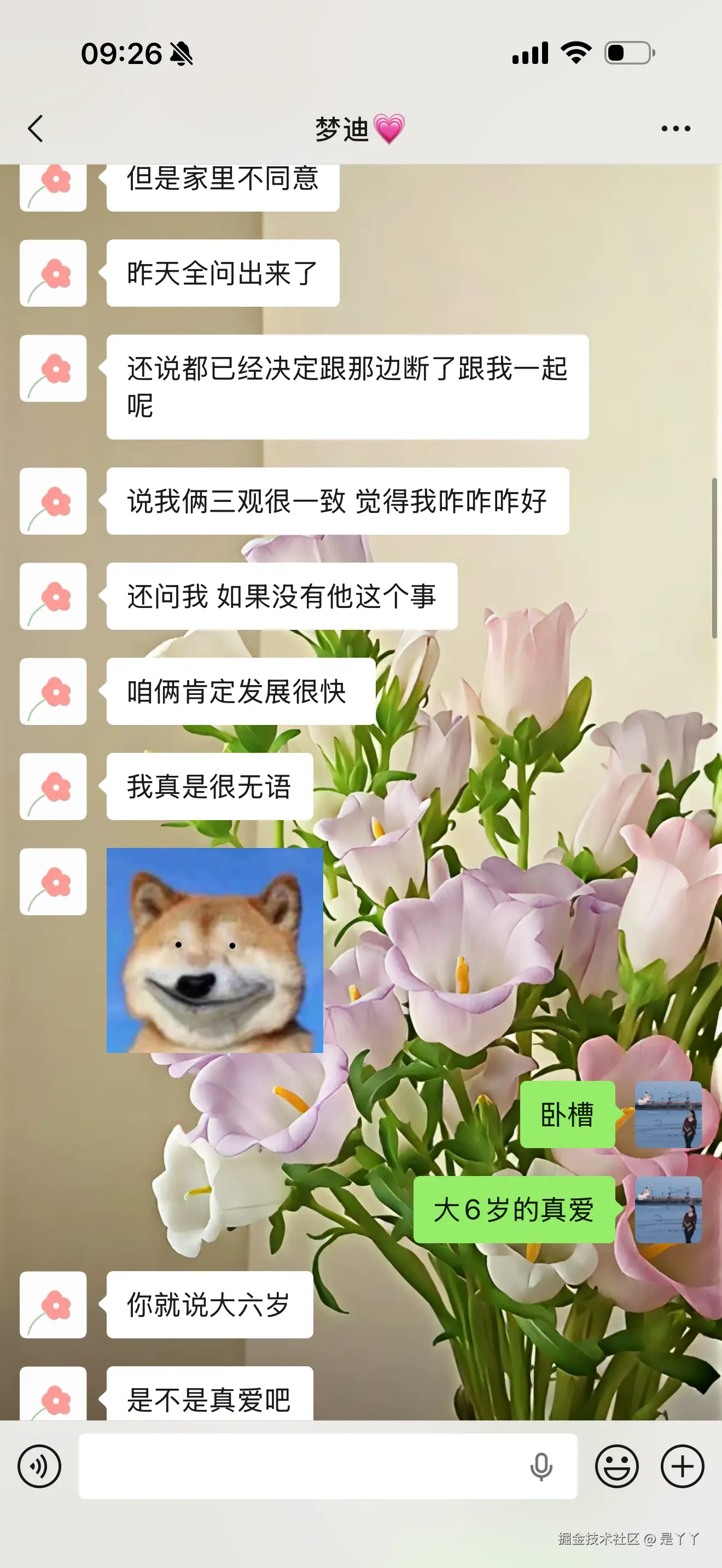 是丫丫于2026-02-26 09:28发布的图片
