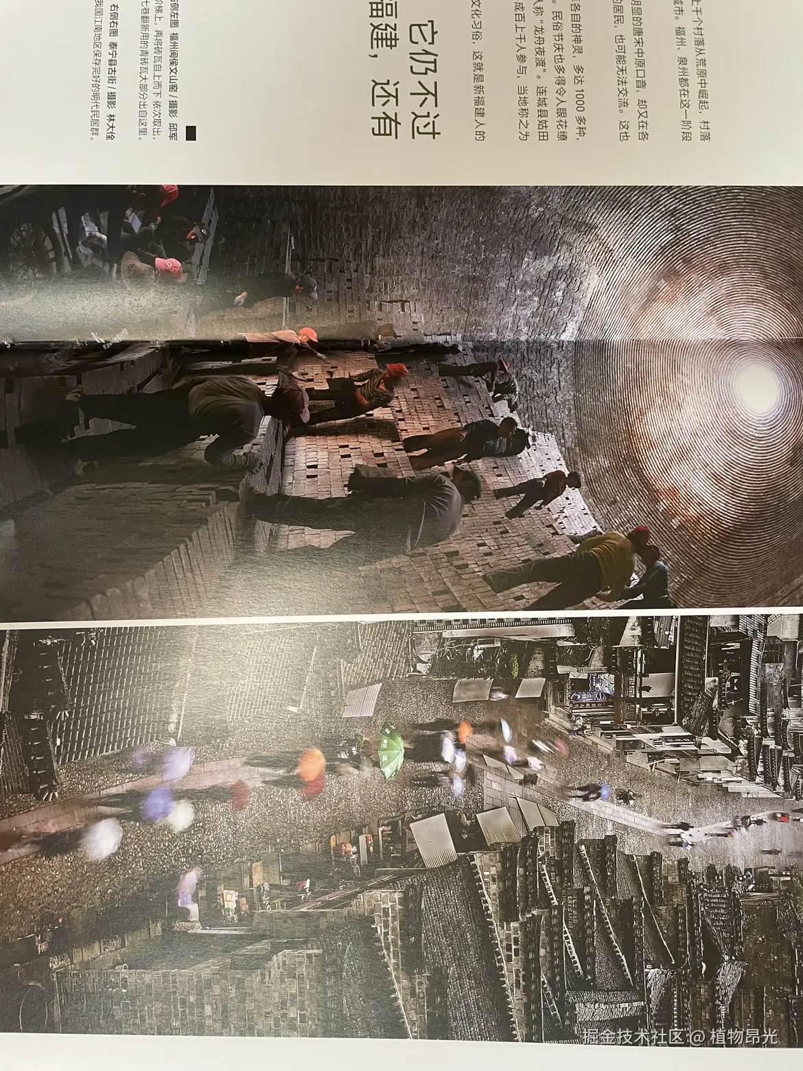 植物昂光于2026-04-19 14:01发布的图片